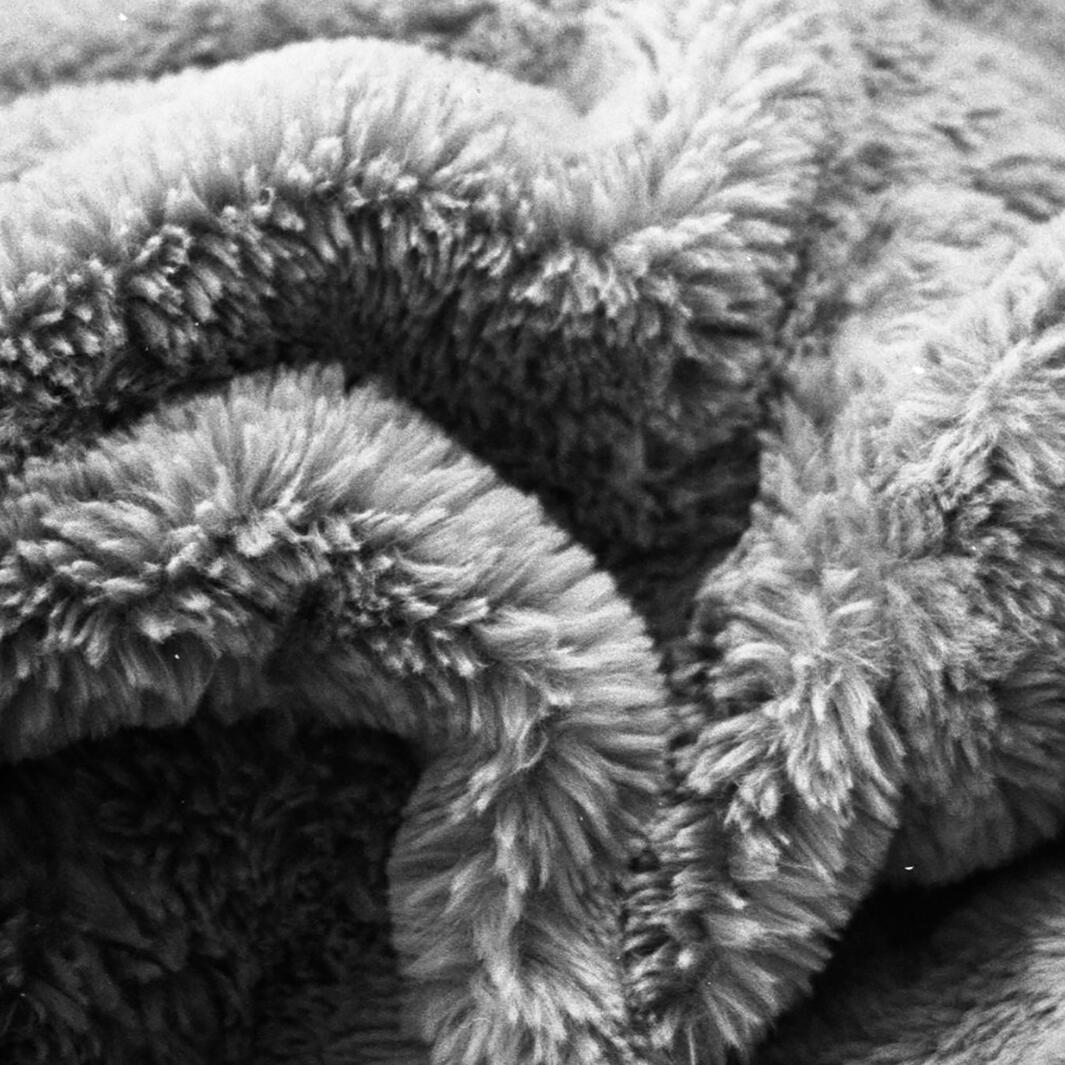 Textures of a Home Series